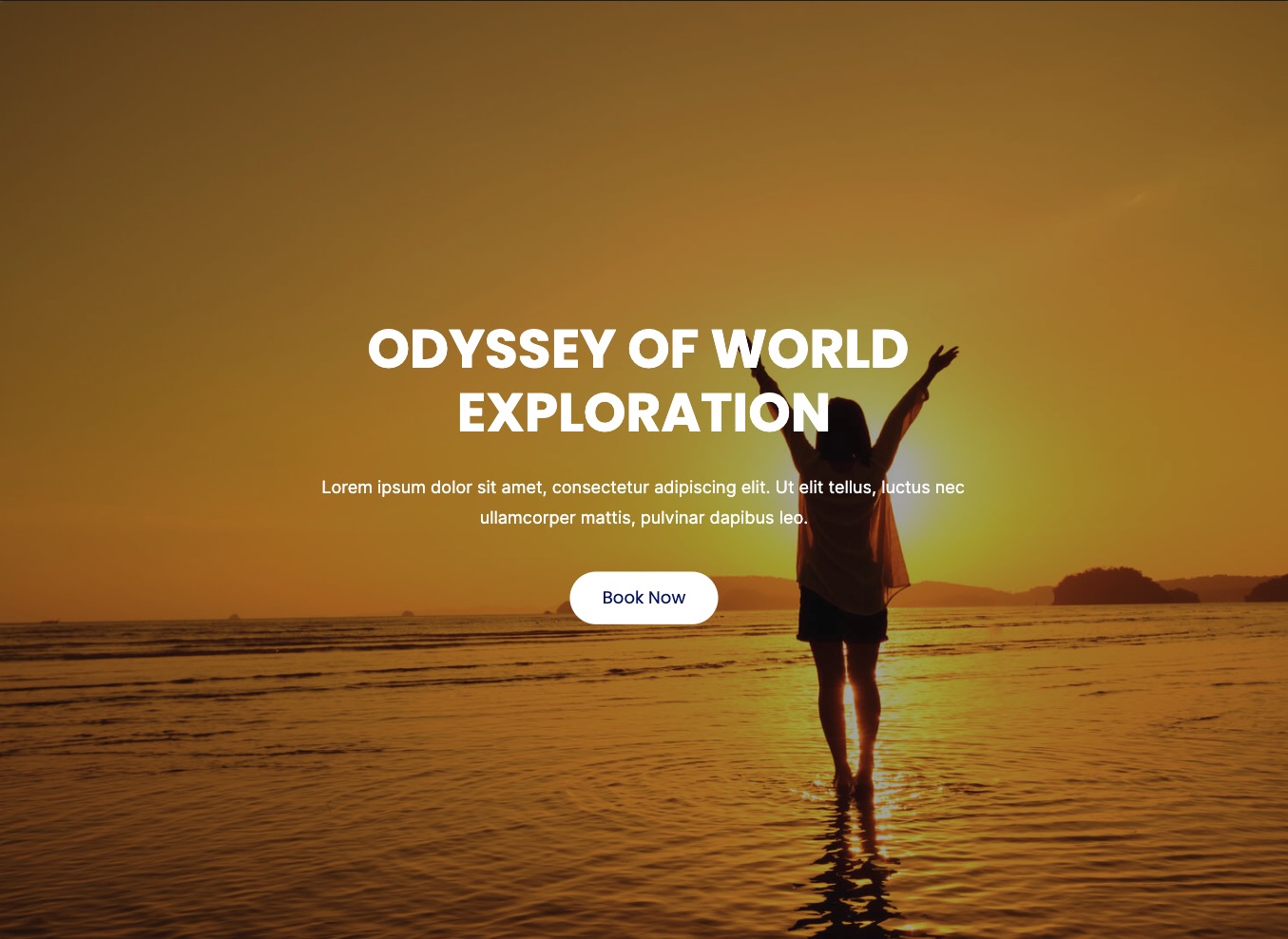 Journy Hero WordPress Pattern