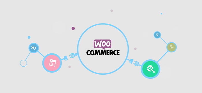 woocommerce wordpress plugin for business