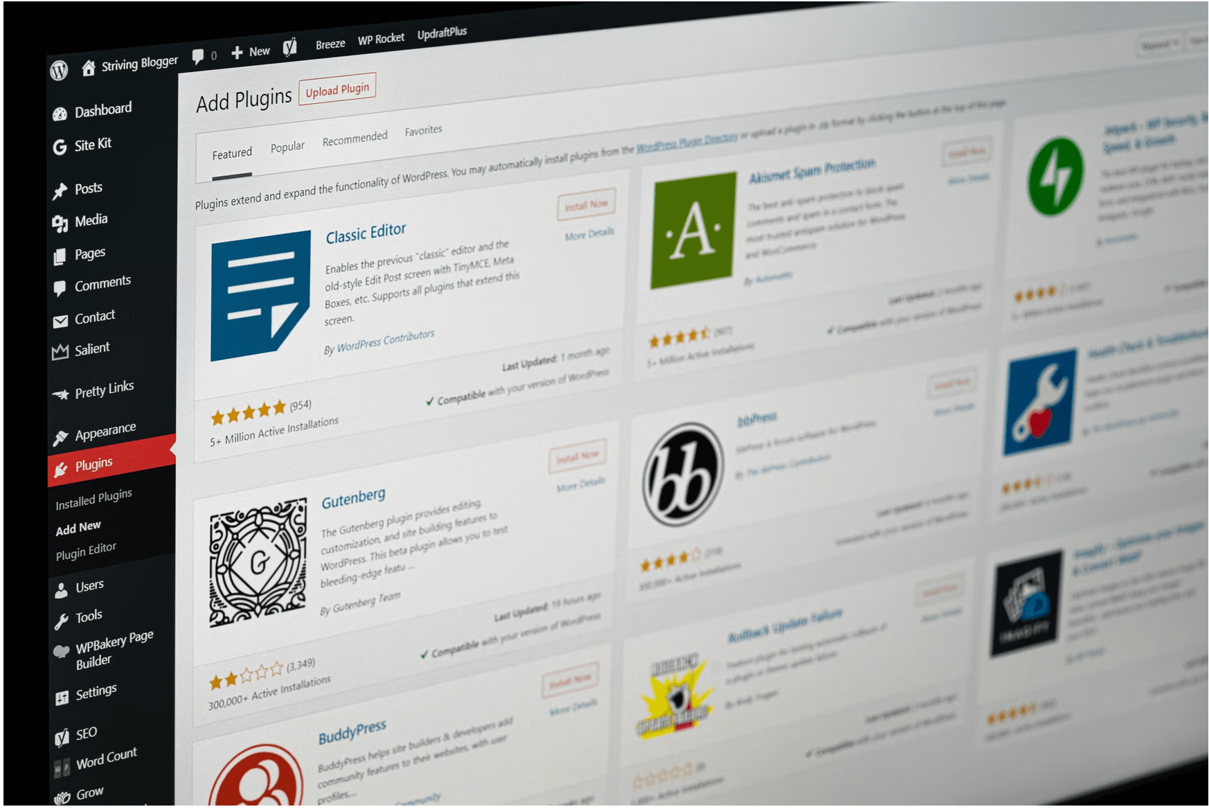 wordpress plugins for business