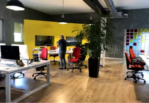 WordPress Development office