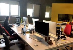 WordPress Development office