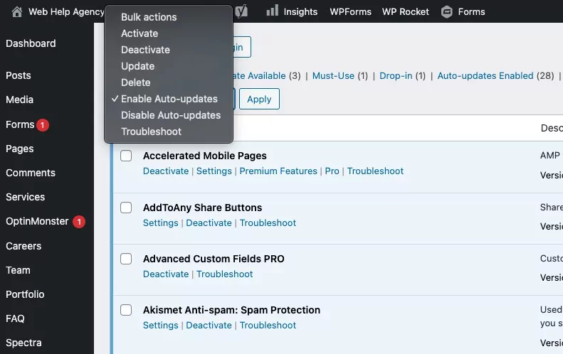 WordPress plugins autoupdate